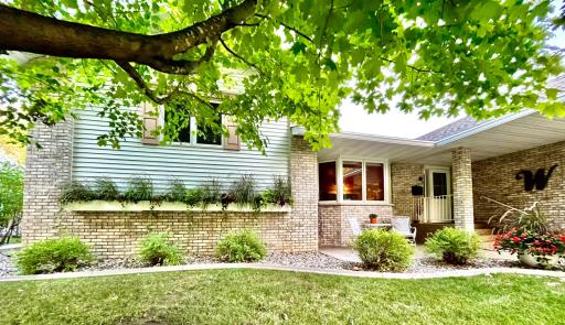 Privacy shade tree out front