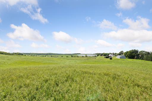 xxxx CR 19, Medina, MN 55340