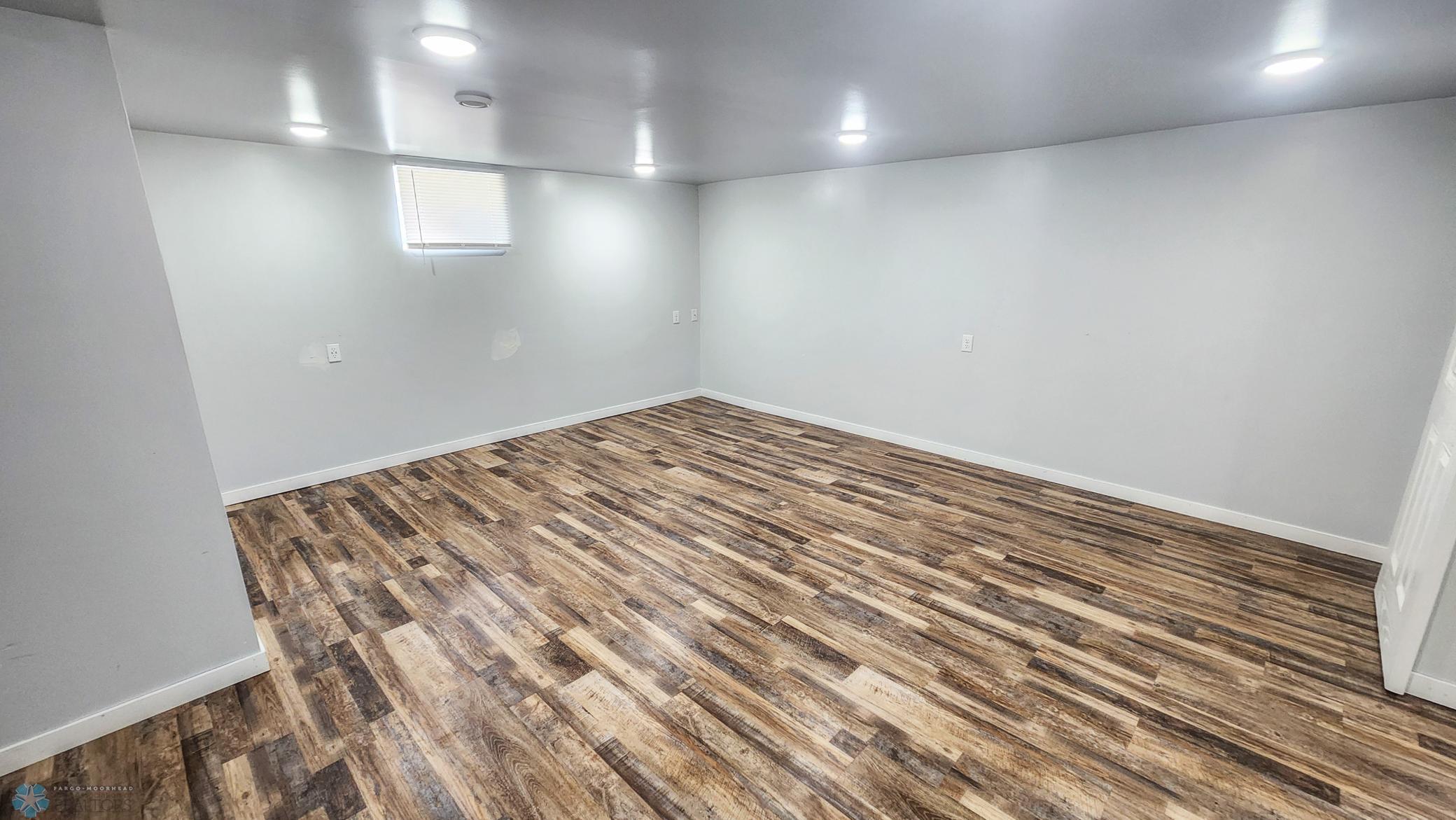 Basement Living Room