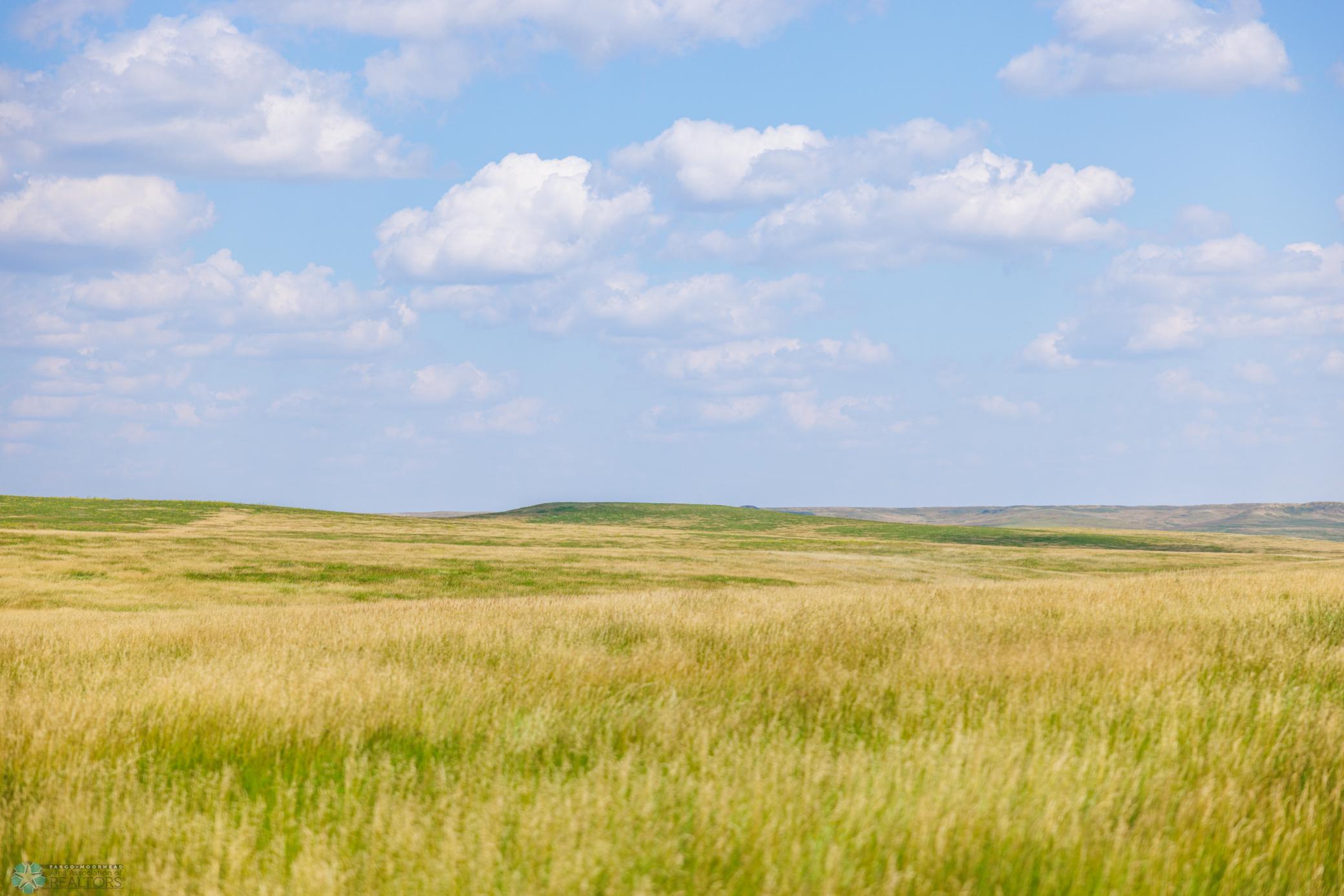 Amdak__Kallestad North _Landscape_0001.jpg