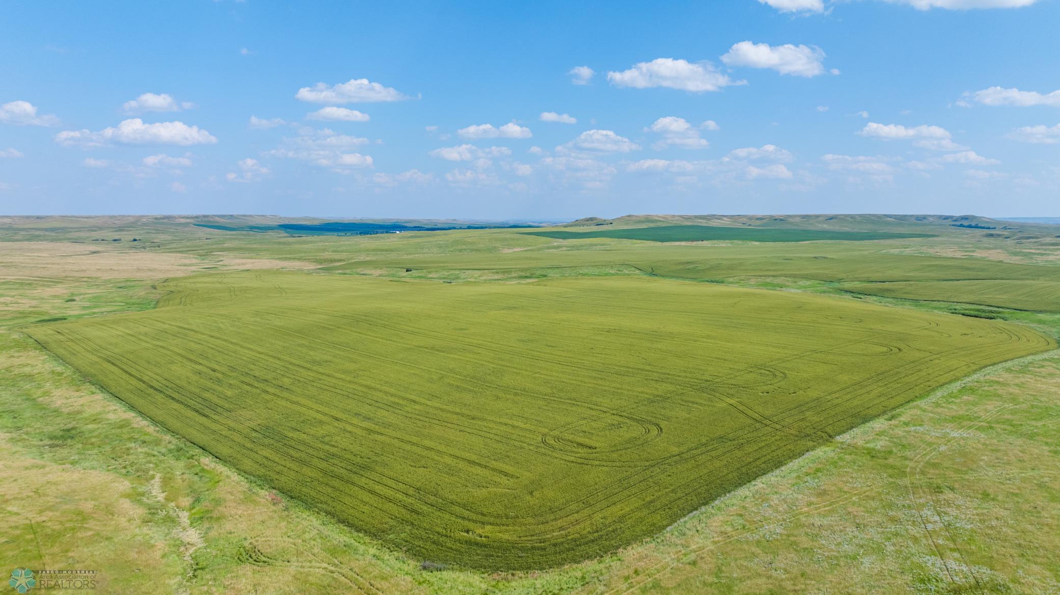 Amdak__Kallestad North _Landscape_0059.jpg