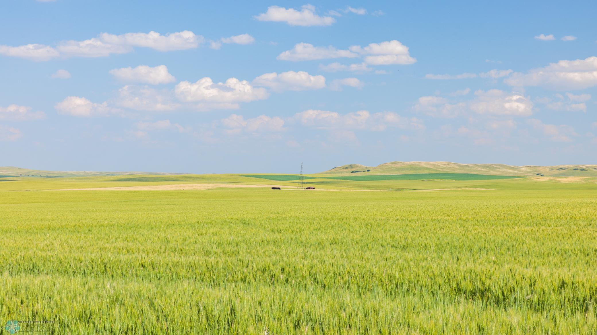 Amdak__Kallestad North _Landscape_0061.jpg