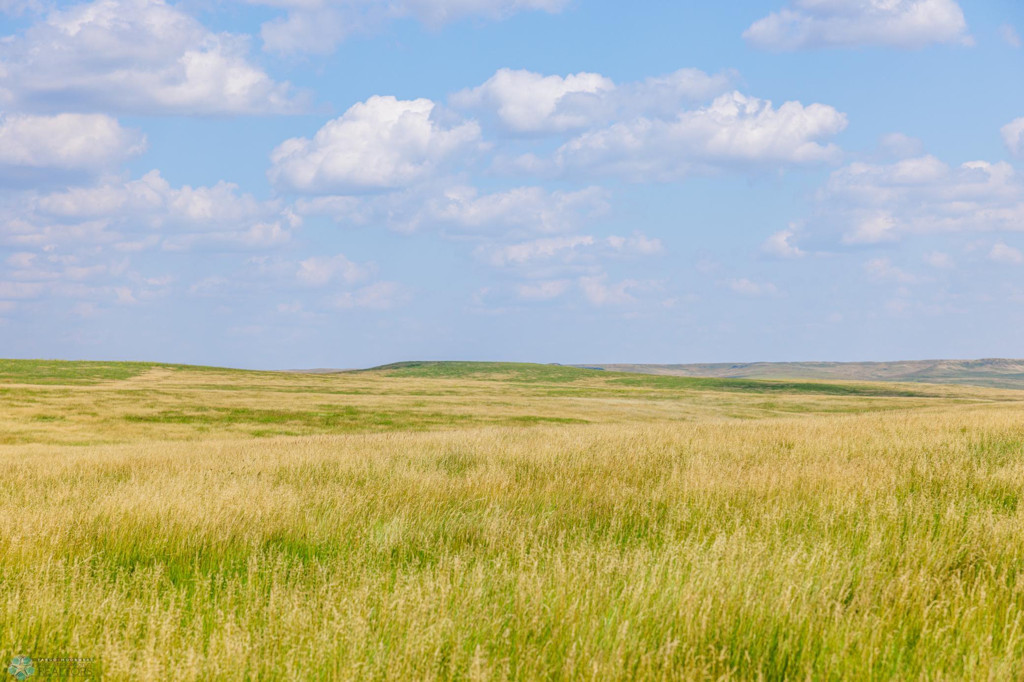 Amdak__Kallestad North _Landscape_0002.jpg
