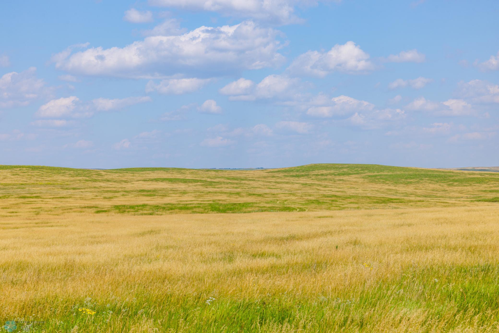 Amdak__Kallestad North _Landscape_0019.jpg