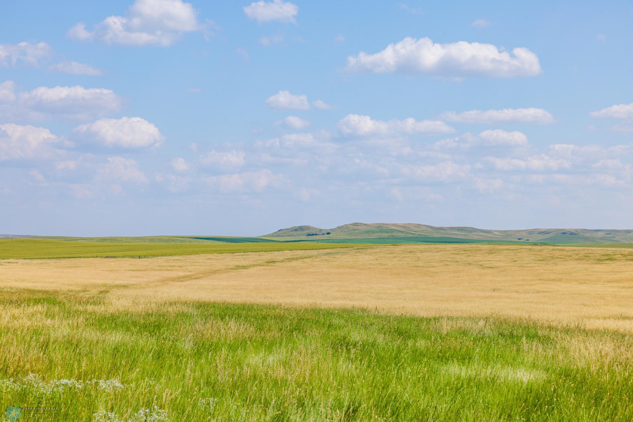 Amdak__Kallestad North _Landscape_0006.jpg