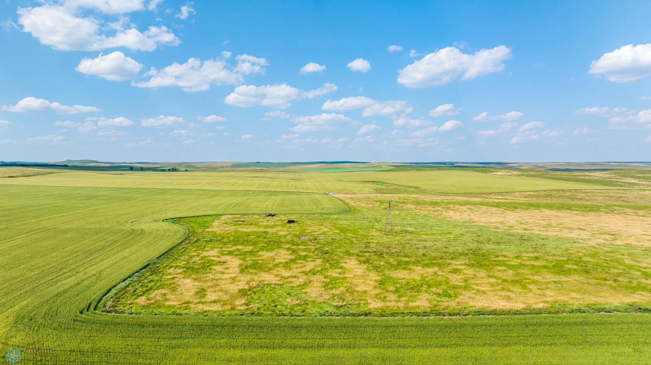 Amdak__Kallestad North _Landscape_0055.jpg