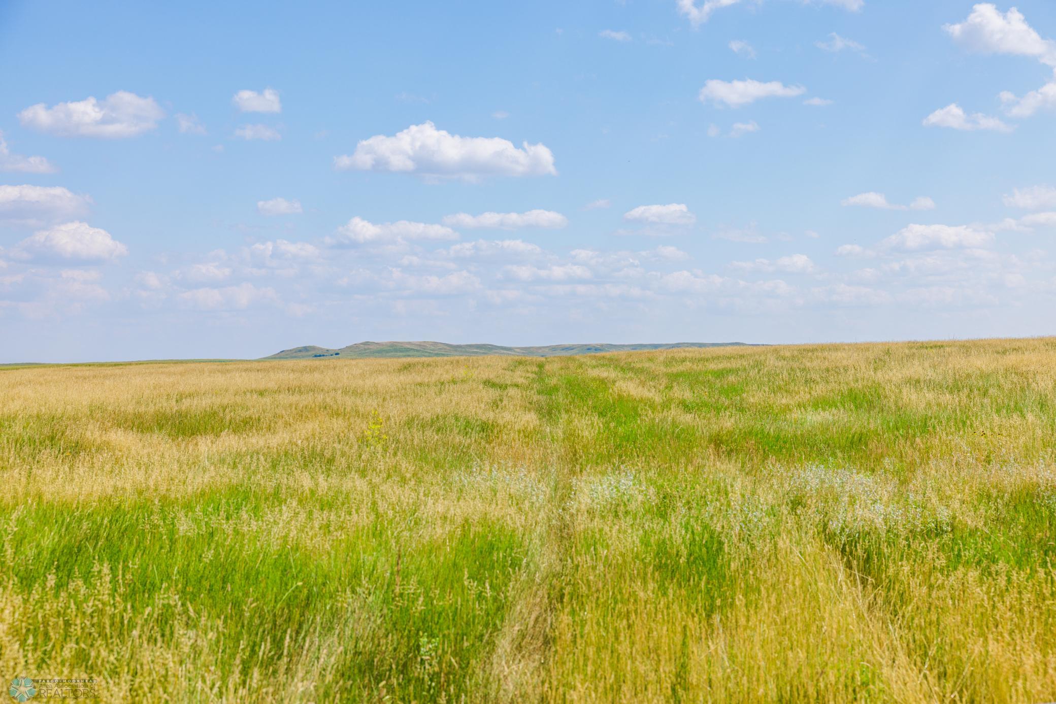 Amdak__Kallestad North _Landscape_0004.jpg