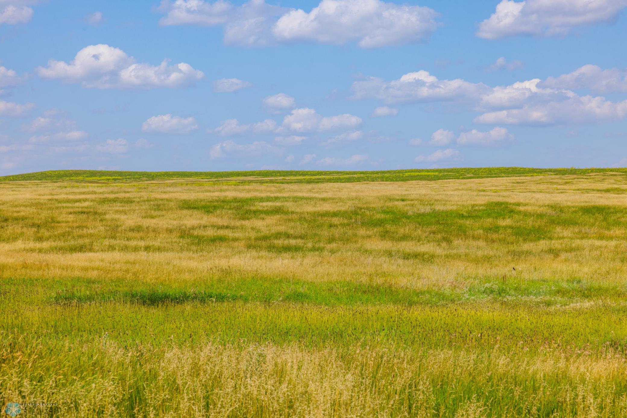 Amdak__Kallestad North _Landscape_0033.jpg