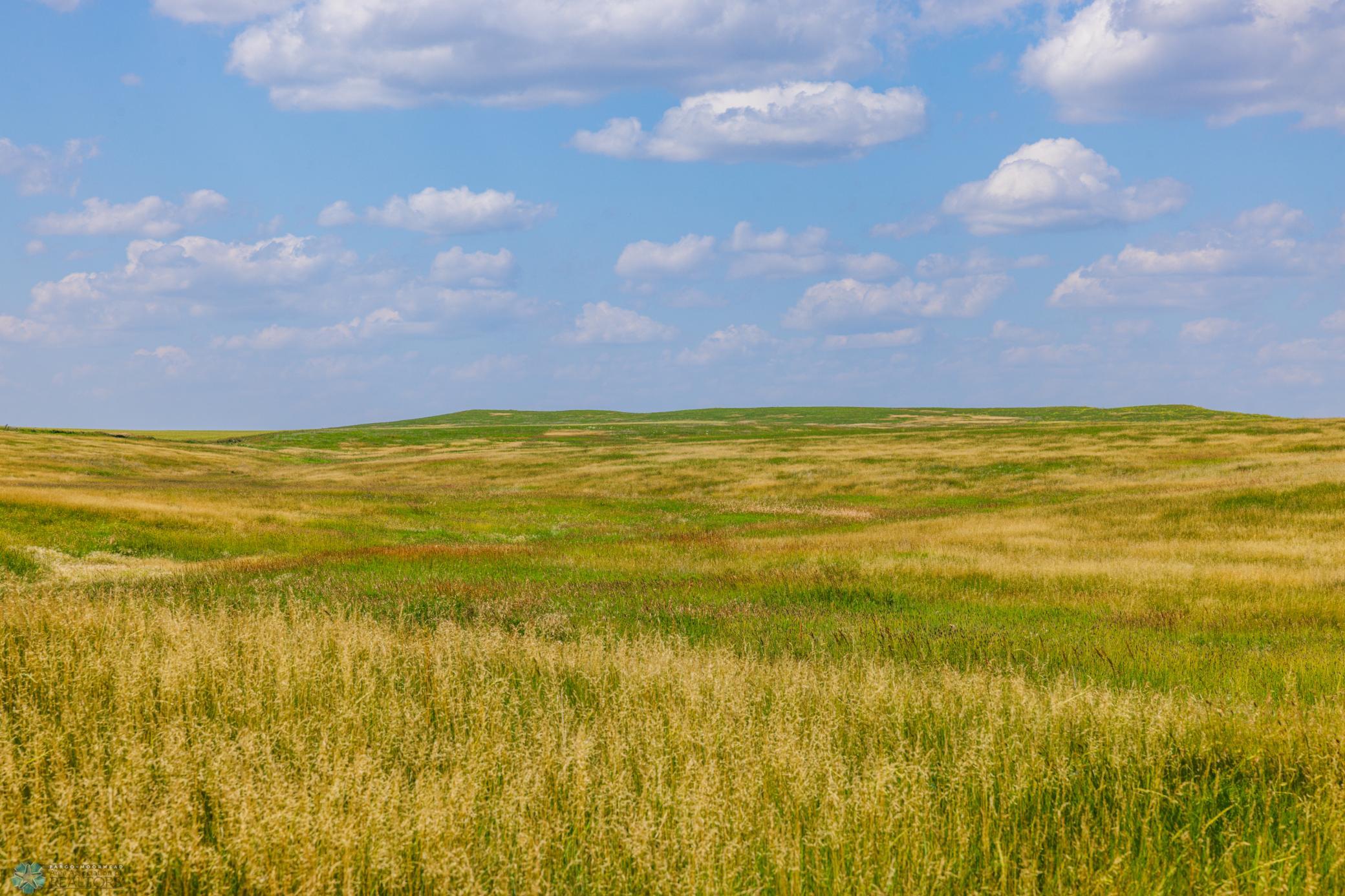 Amdak__Kallestad North _Landscape_0032.jpg