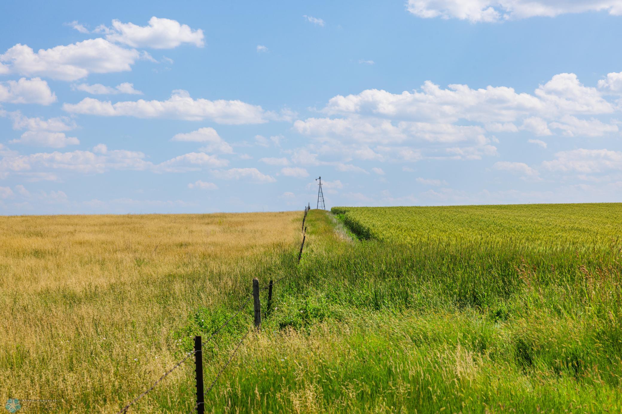 Amdak__Kallestad North _Landscape_0045.jpg