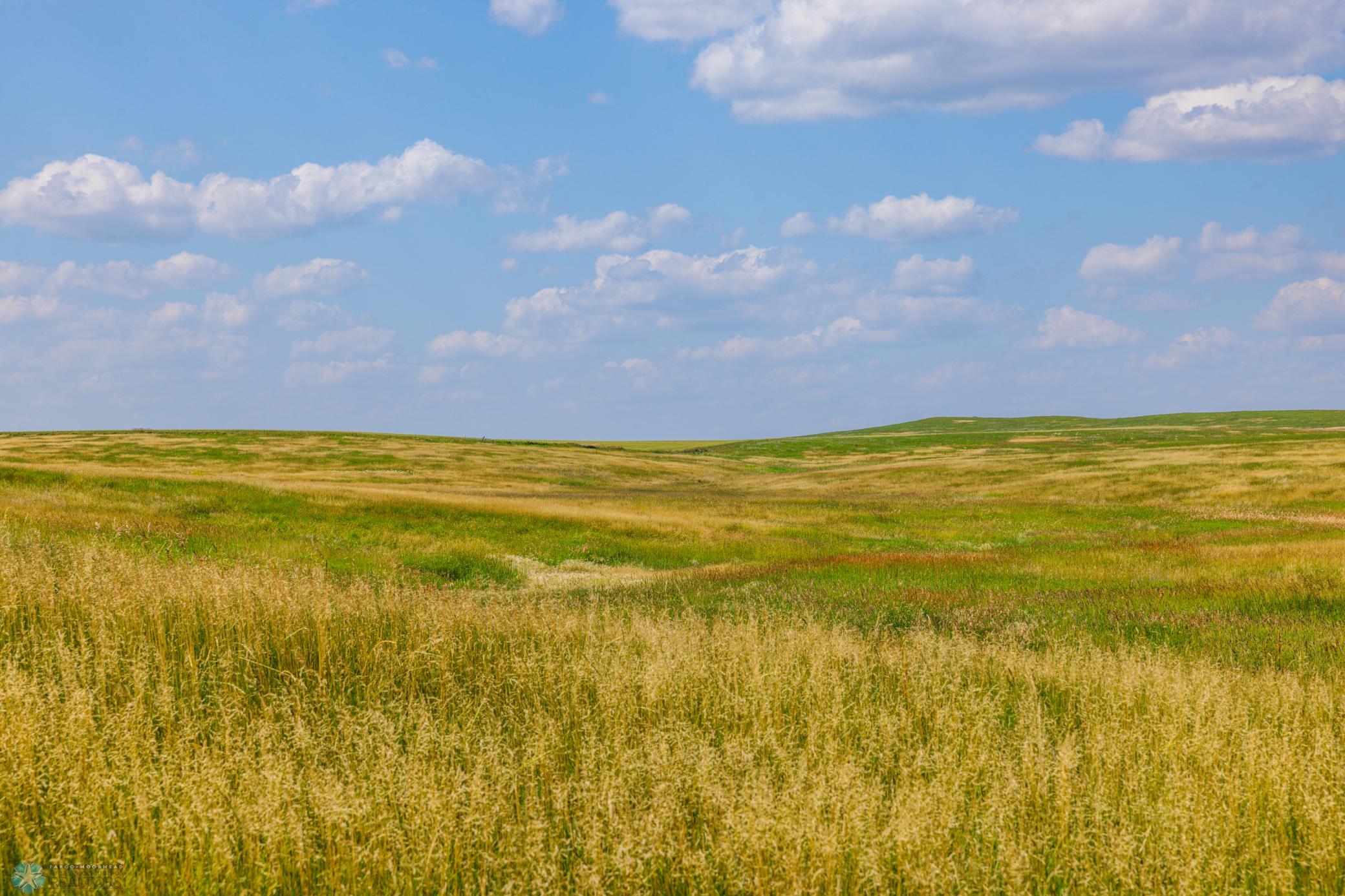 Amdak__Kallestad North _Landscape_0031.jpg