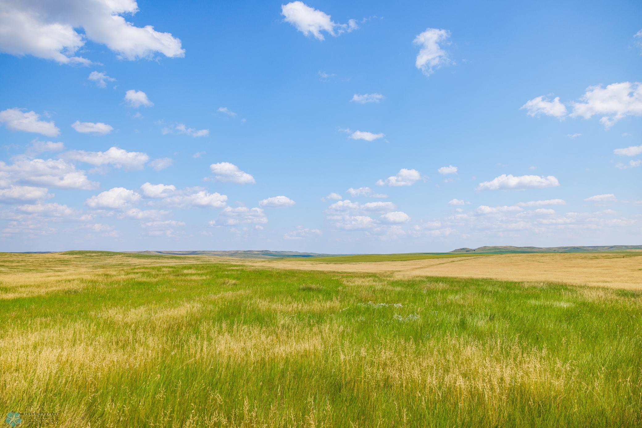 Amdak__Kallestad North _Landscape_0005.jpg