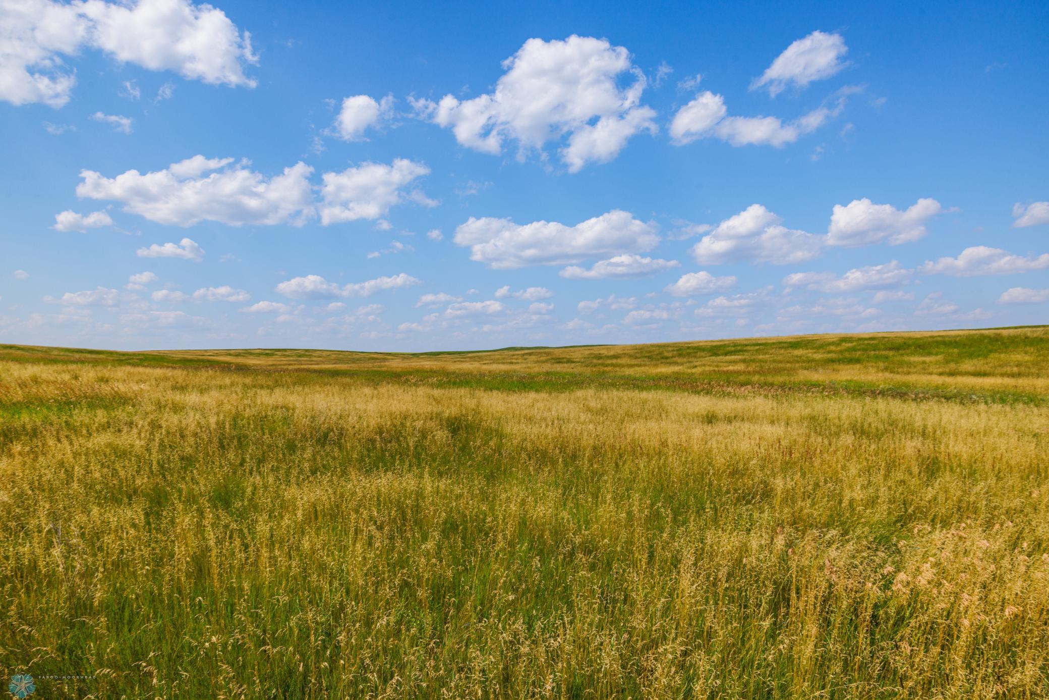 Amdak__Kallestad North _Landscape_0039.jpg