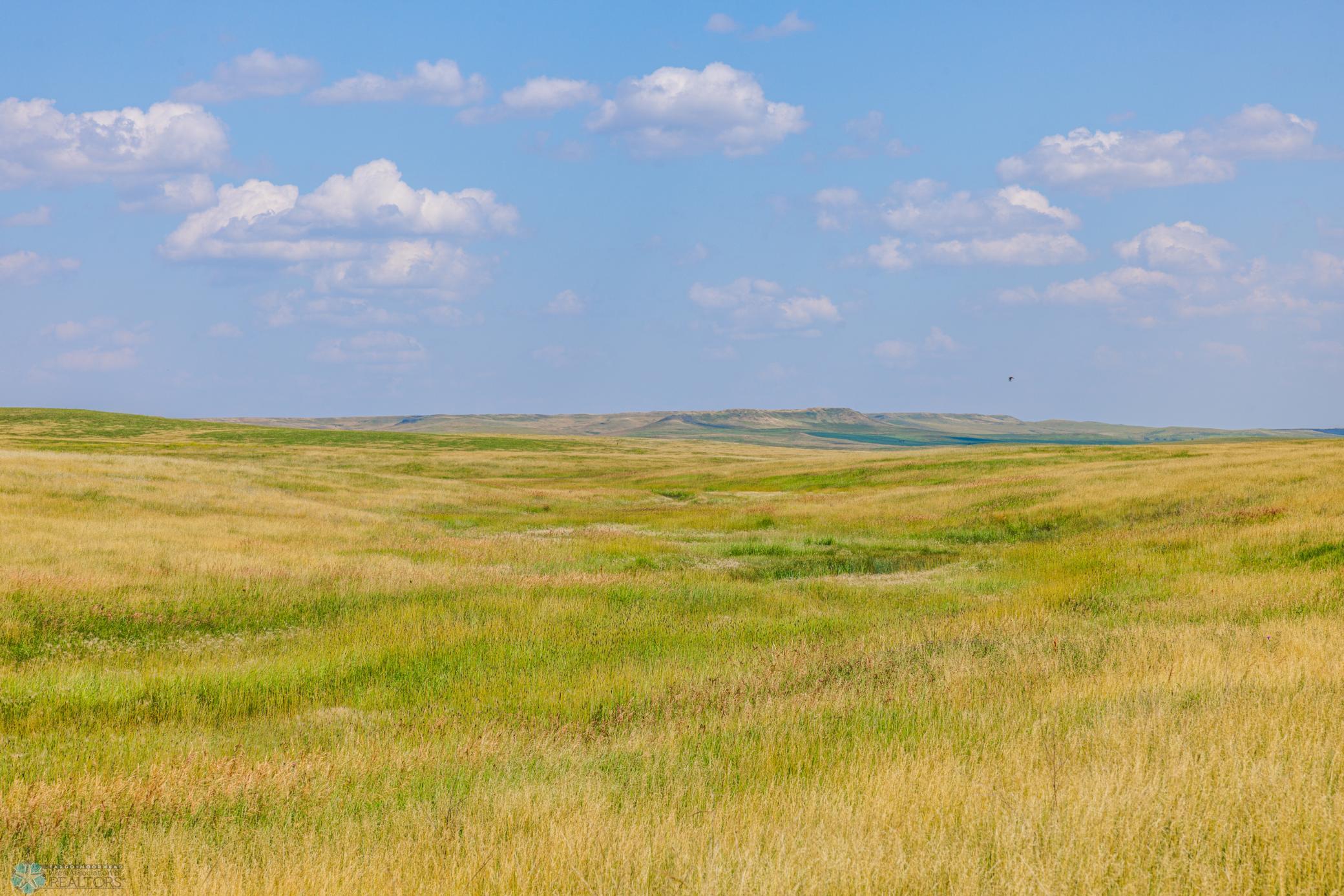 Amdak__Kallestad North _Landscape_0042.jpg