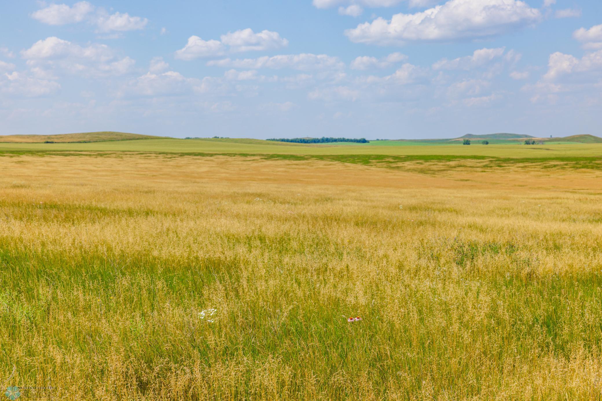 Amdak__Kallestad North _Landscape_0024.jpg