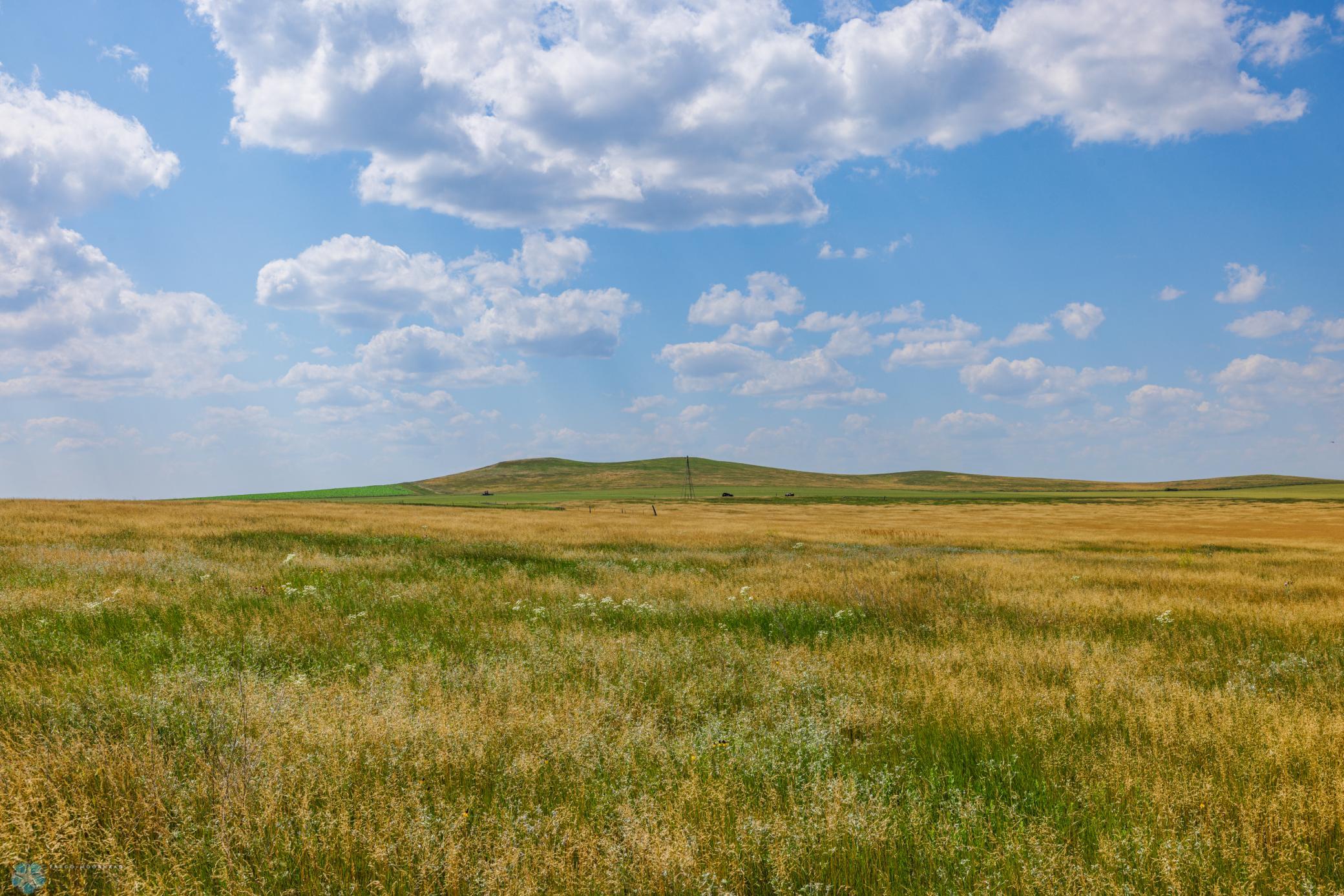 Amdak__Kallestad North _Landscape_0025.jpg