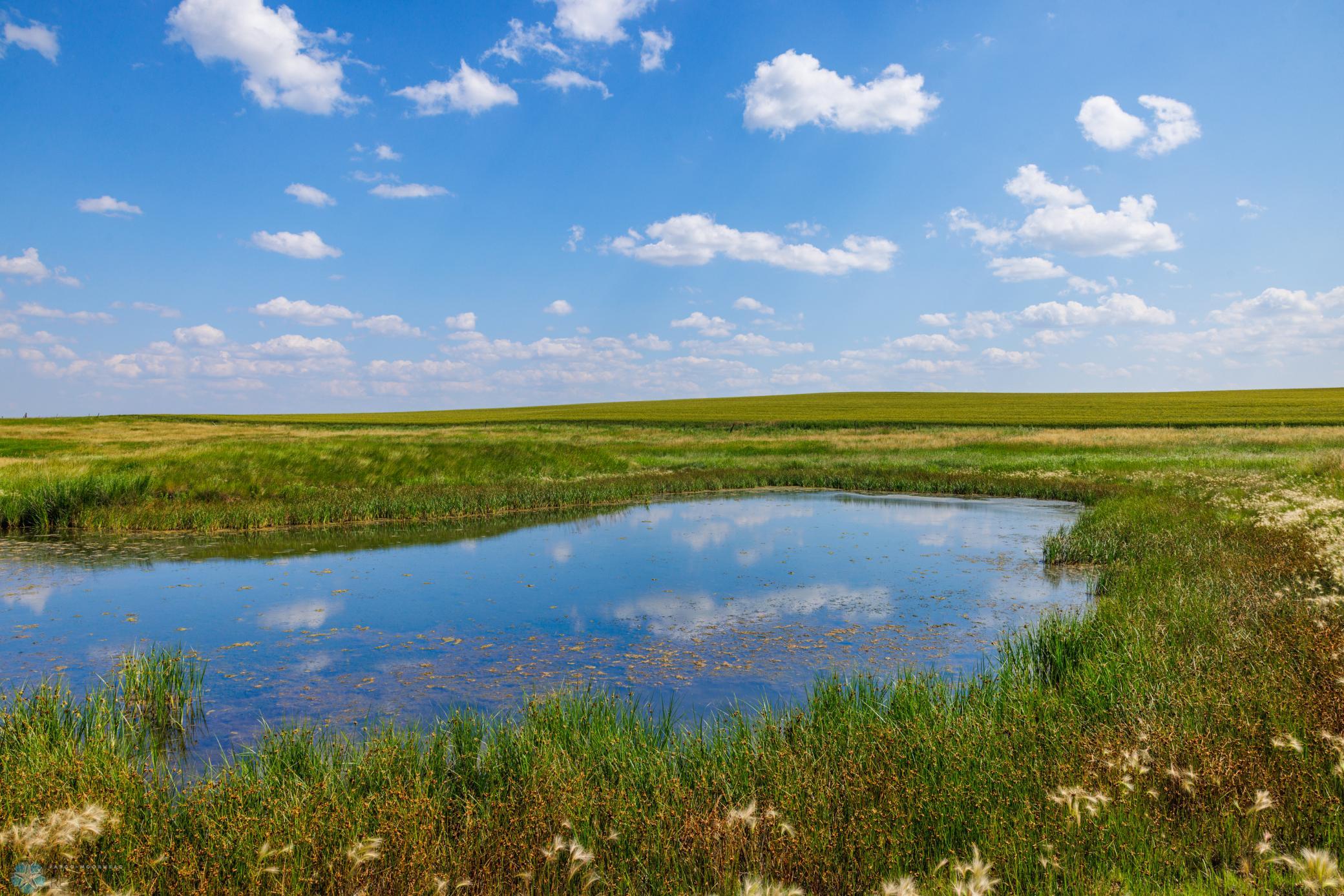 Amdak__Kallestad North _Landscape_0035.jpg