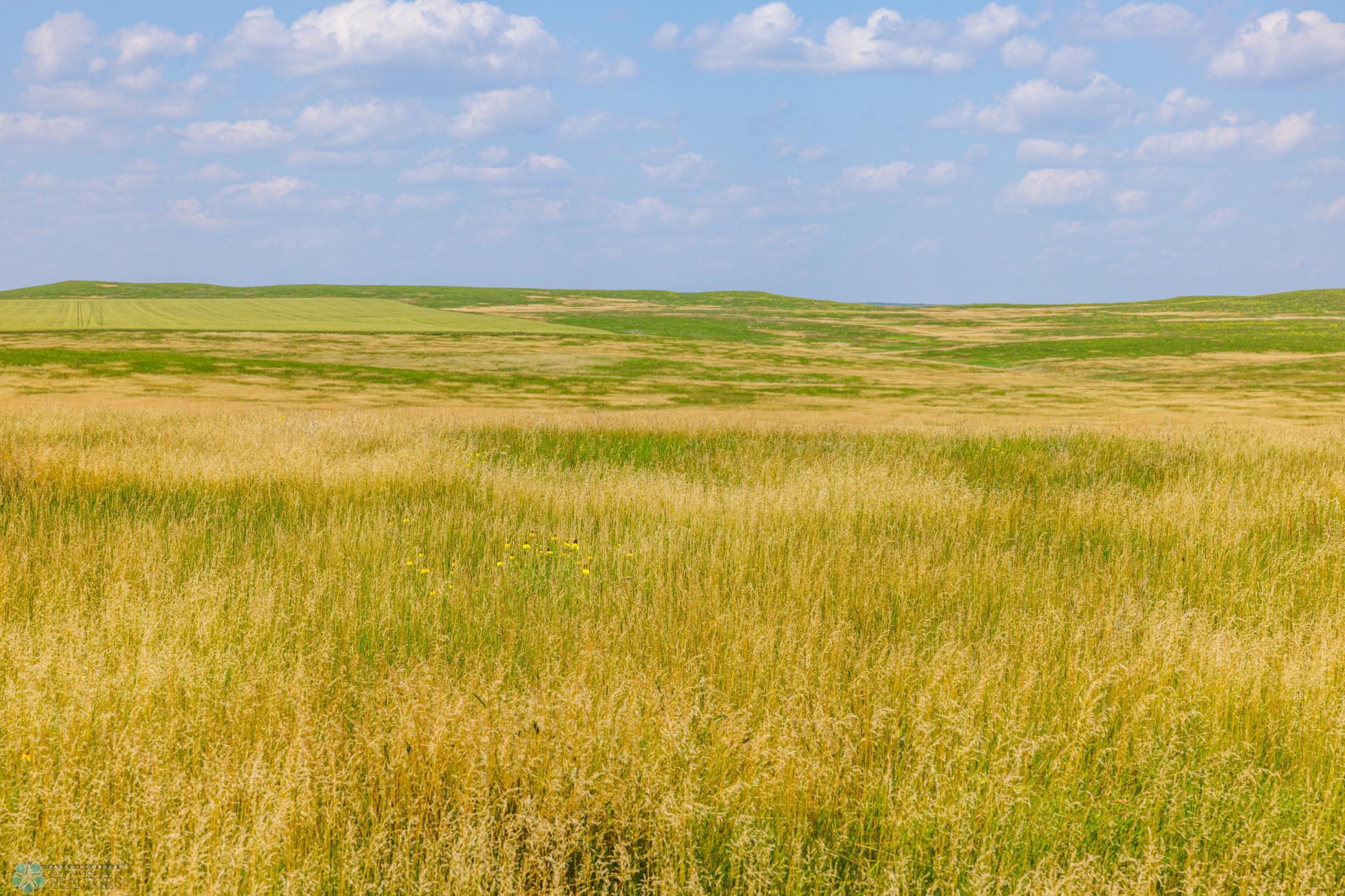Amdak__Kallestad North _Landscape_0021.jpg