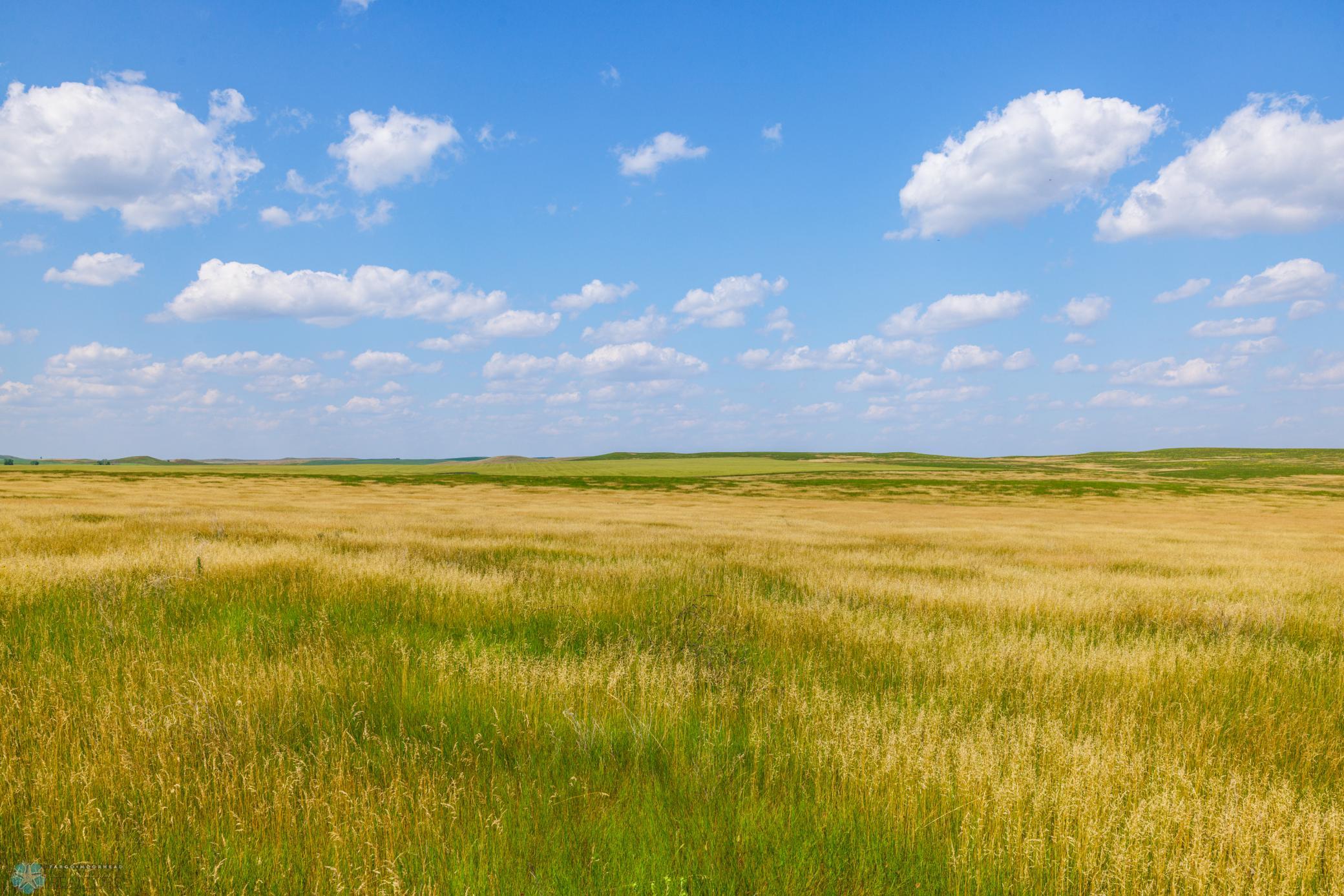 Amdak__Kallestad North _Landscape_0018.jpg