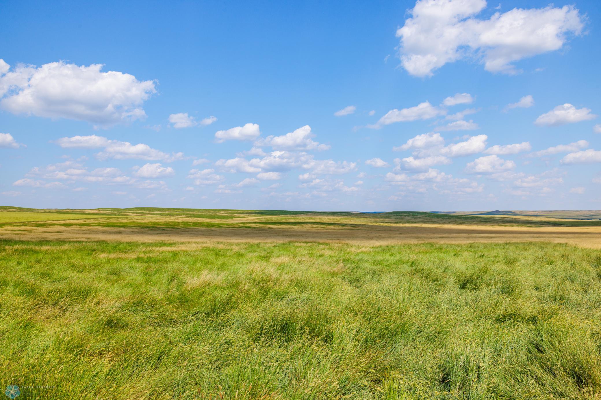 Amdak__Kallestad North _Landscape_0017.jpg