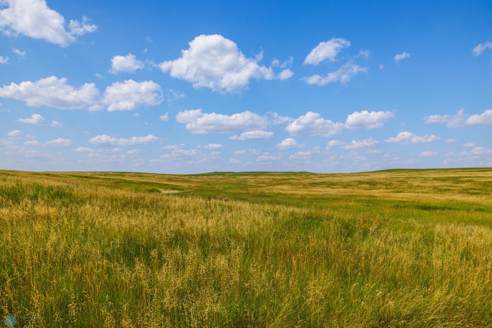 Amdak__Kallestad North _Landscape_0034.jpg
