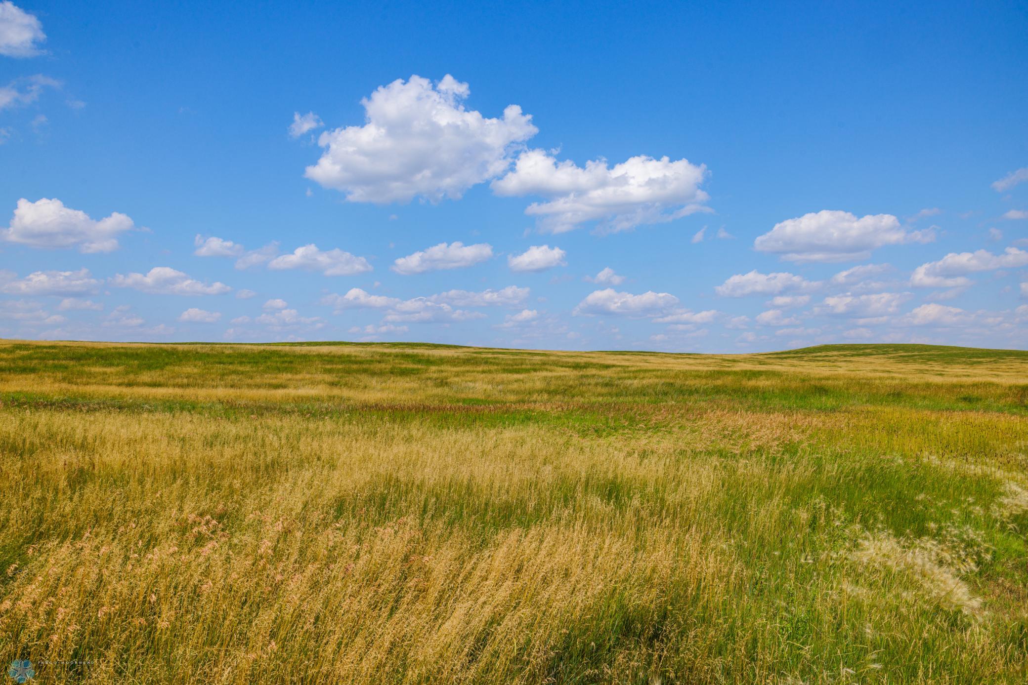 Amdak__Kallestad North _Landscape_0040.jpg