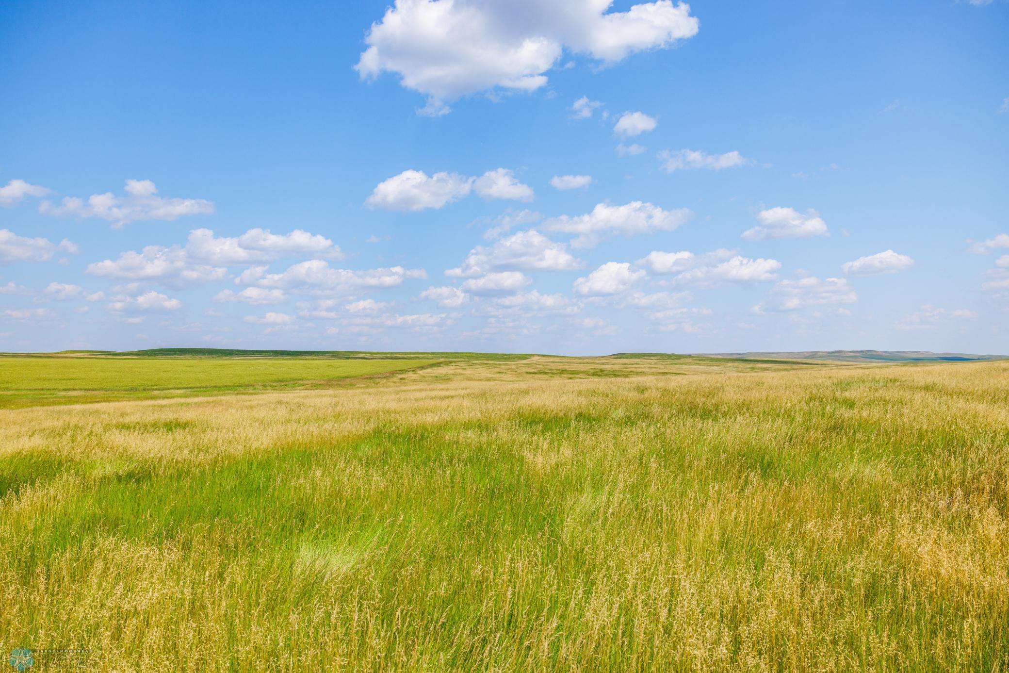 Amdak__Kallestad North _Landscape_0003.jpg