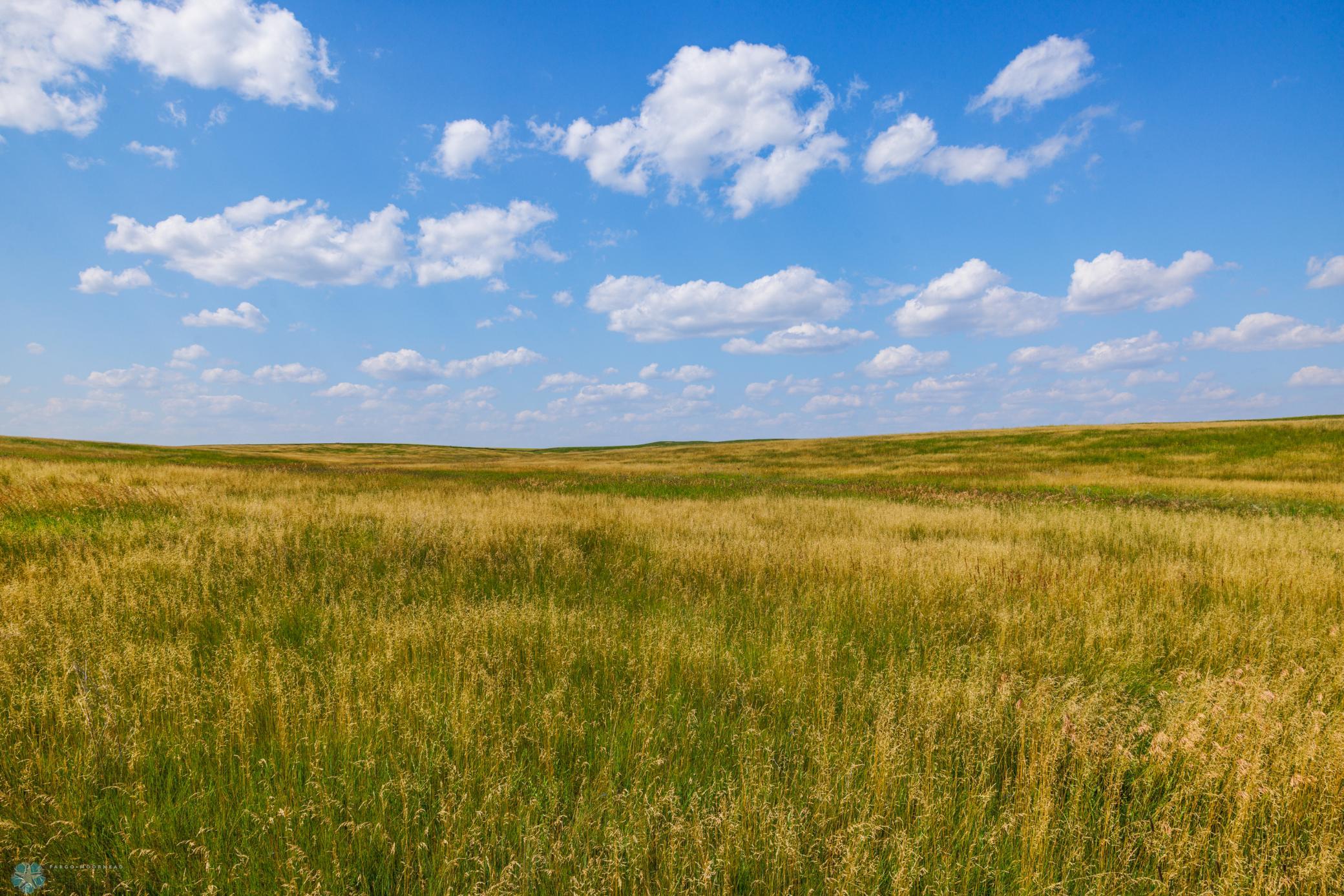 Amdak__Kallestad North _Landscape_0038.jpg