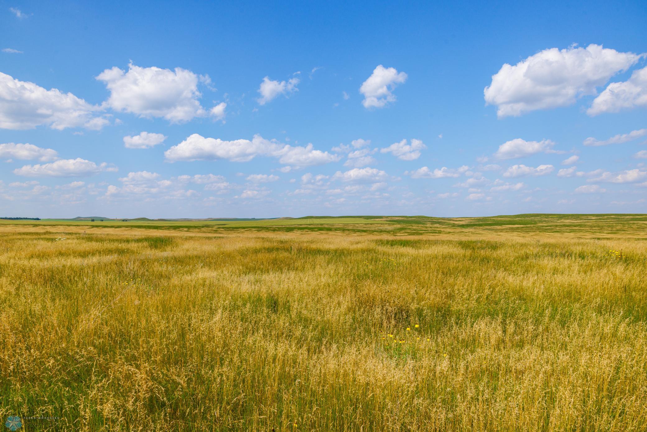 Amdak__Kallestad North _Landscape_0022.jpg