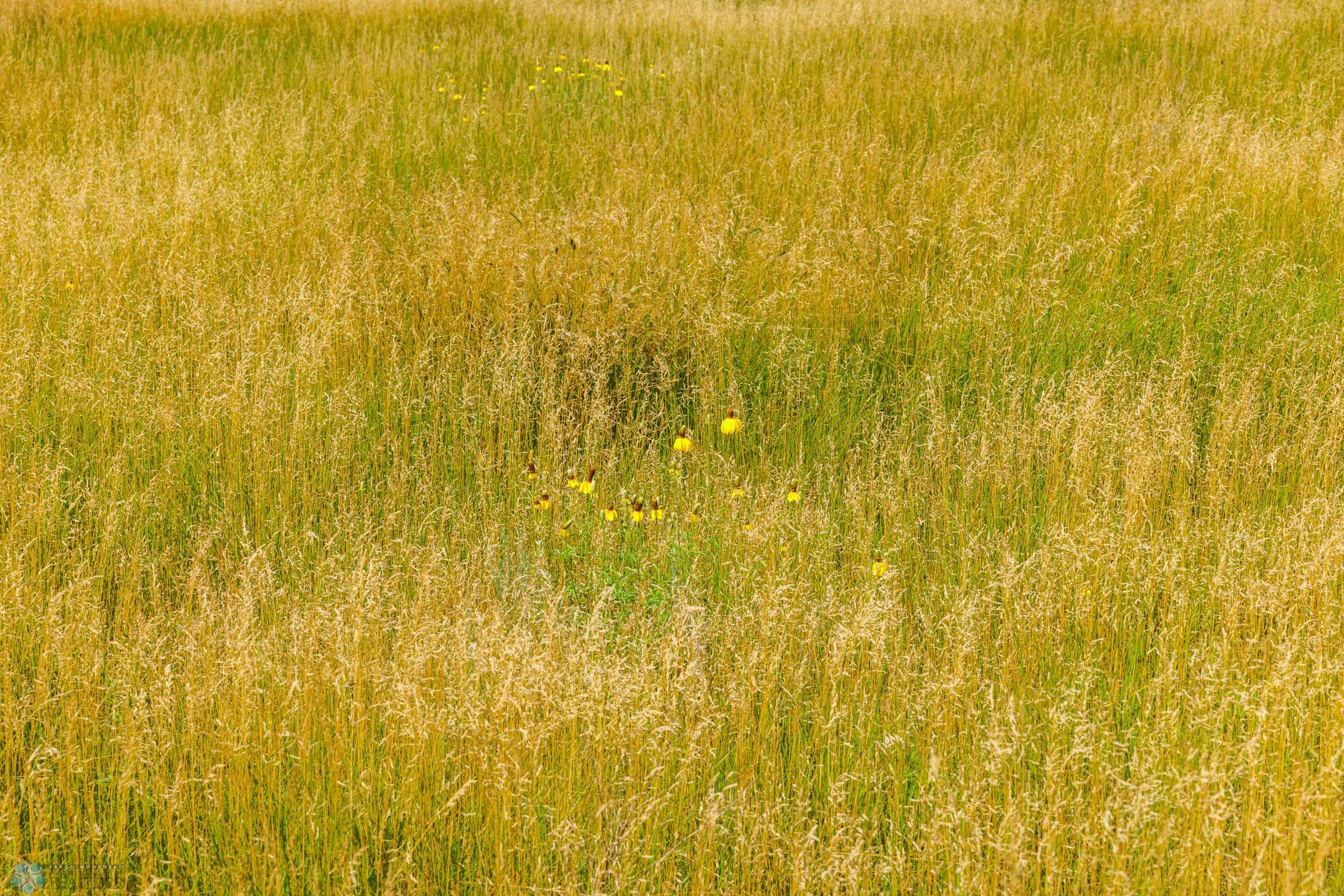 Amdak__Kallestad North _Landscape_0020.jpg