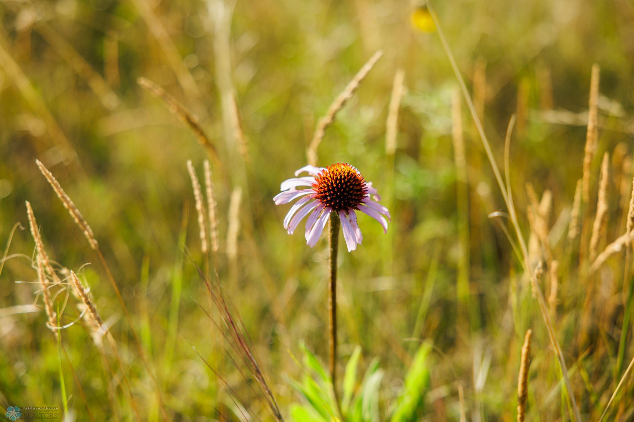 Amdak__Kallestad South_Landscape_0028.jpg