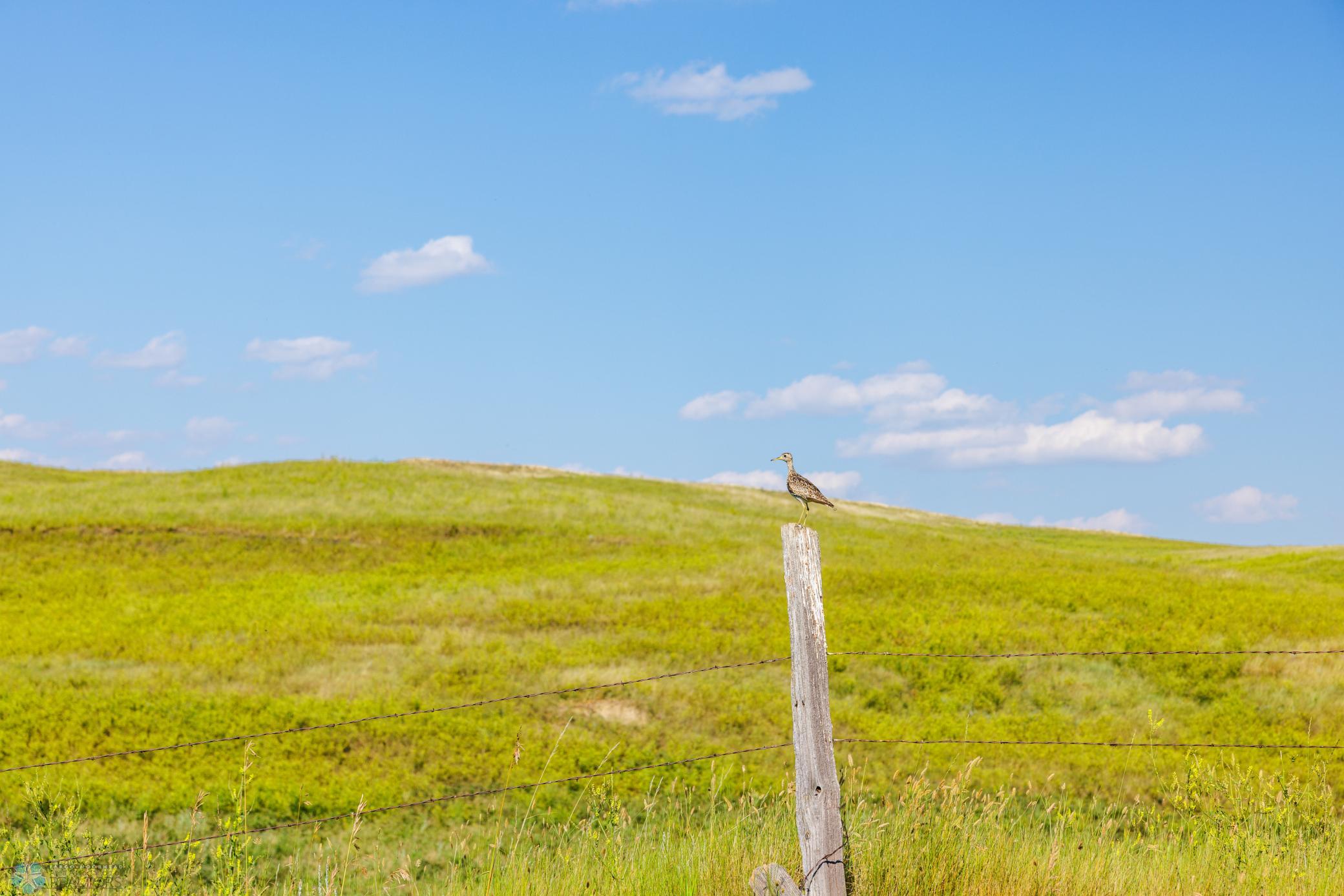 Amdak__Kallestad South_Landscape_0007.jpg