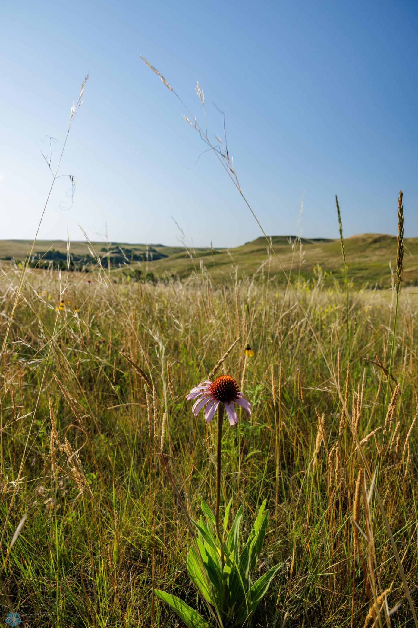 Amdak__Kallestad South_Landscape_0026.jpg