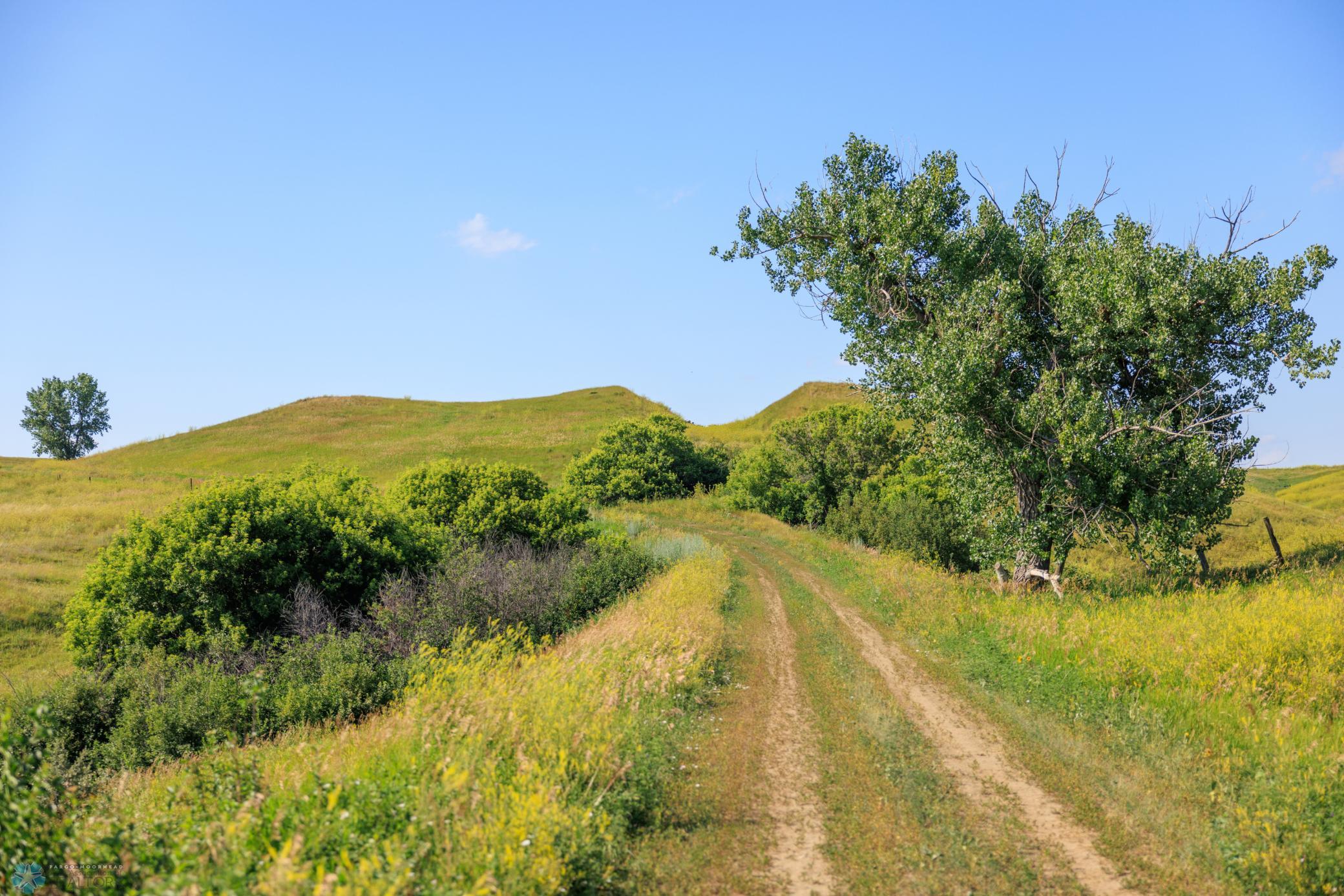 Amdak__Kallestad South_Landscape_0009.jpg