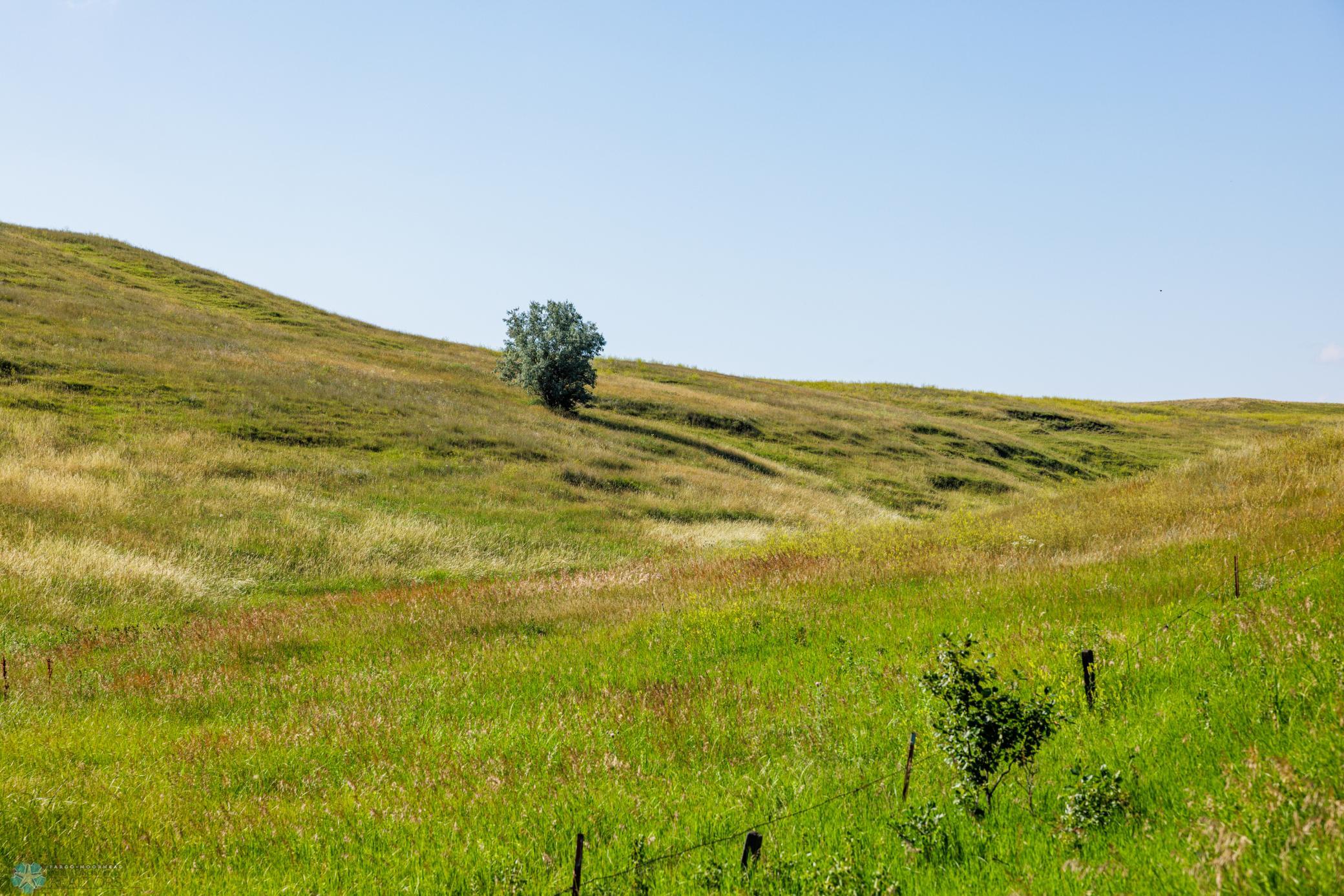 Amdak__Kallestad South_Landscape_0006.jpg