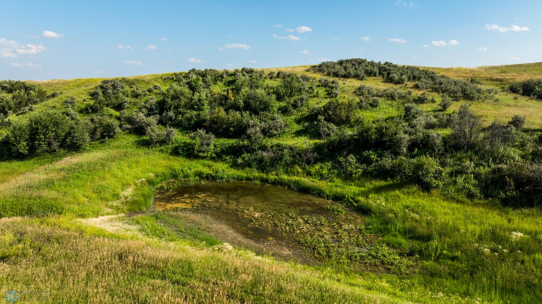 Amdak__Kallestad South_Landscape_0014.jpg