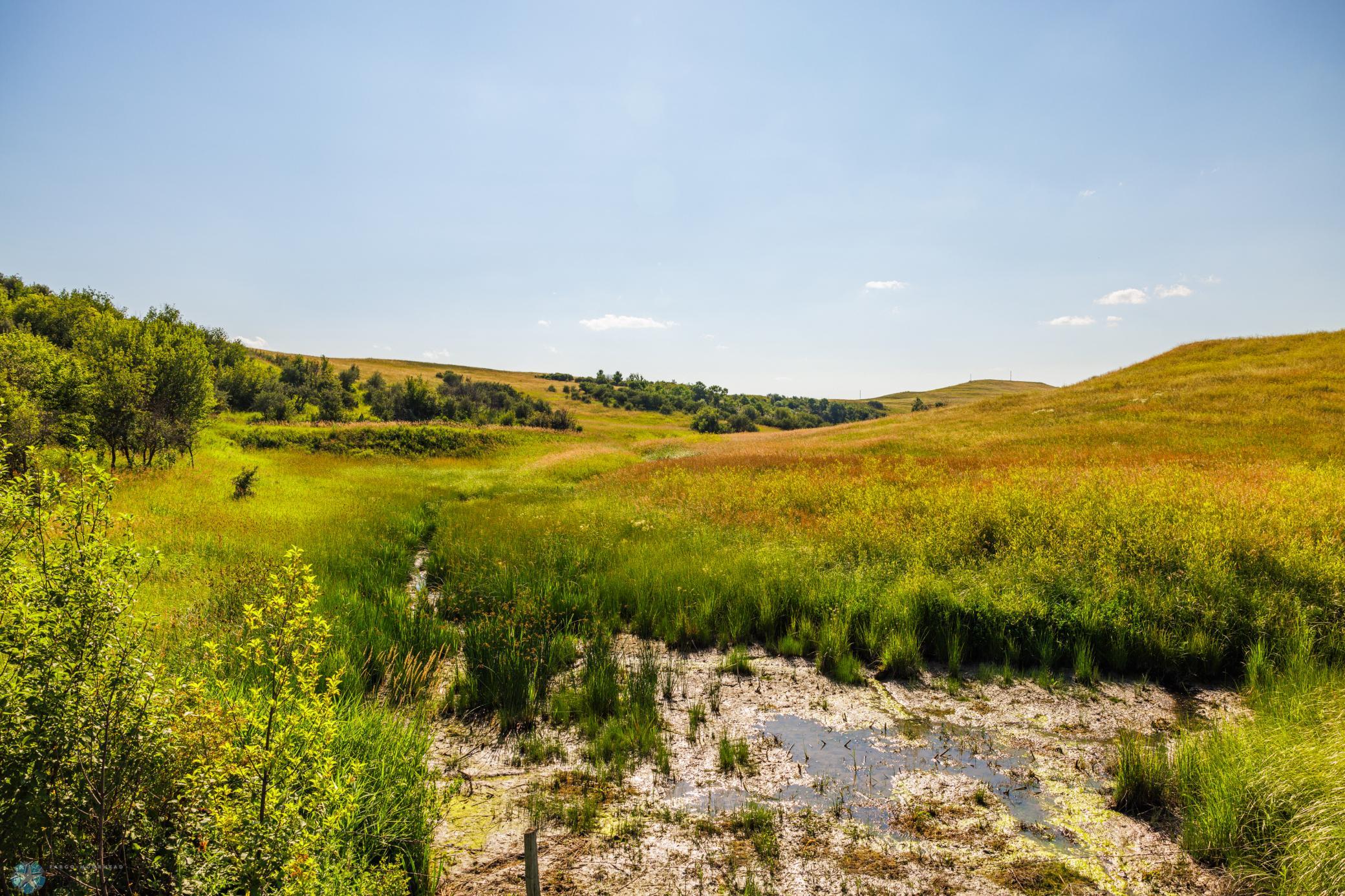 Amdak__Kallestad South_Landscape_0005.jpg