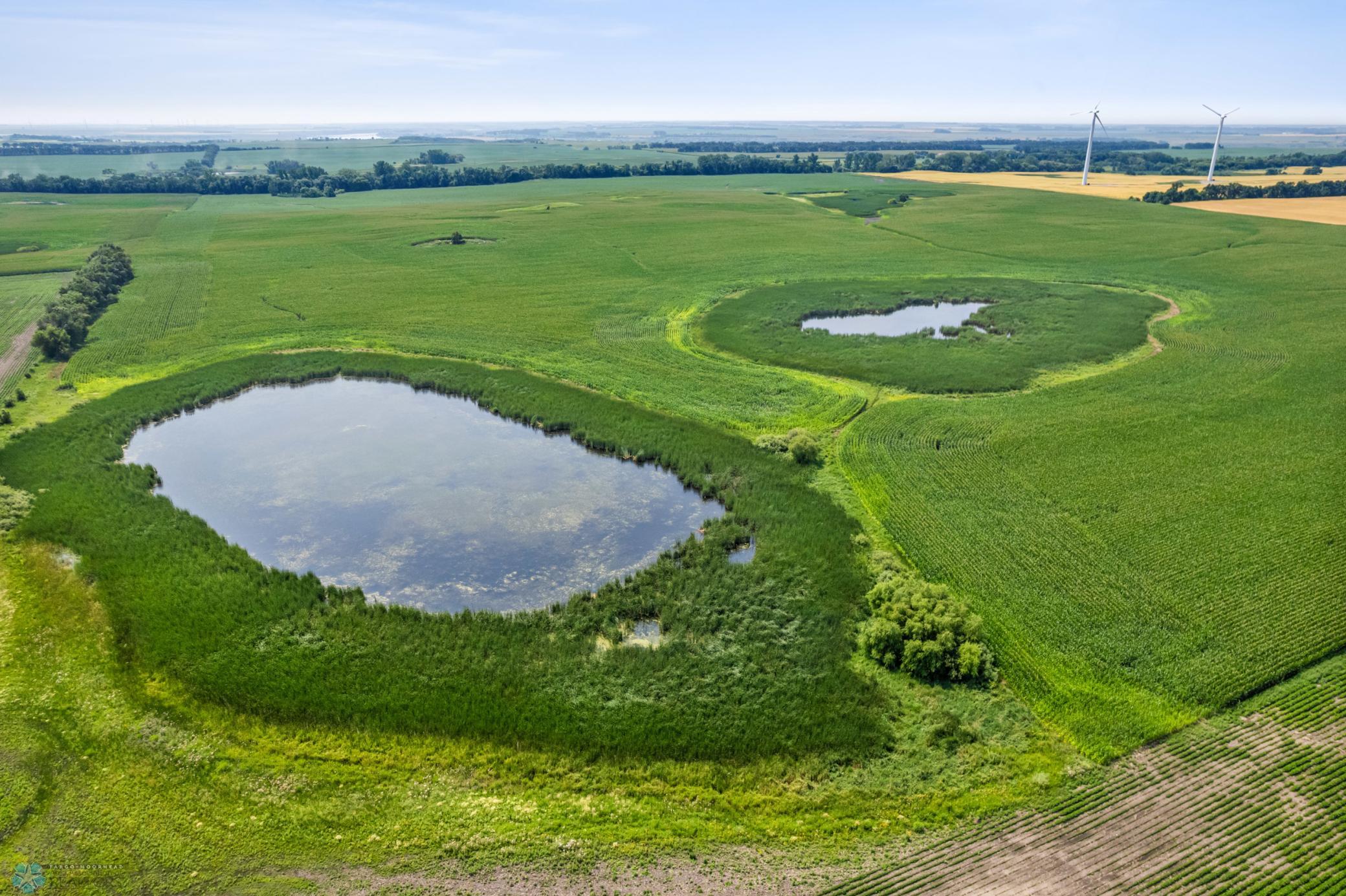 11_dji_0145.jpg