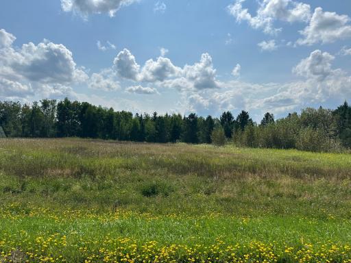 Photo for 1473 4th Street NW, Baudette, MN 56623 - Listing #6584995 1473 4th Street NW, Baudette, MN 56623
