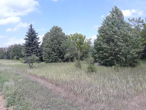 155xxx Halsey Avenue, Carver, MN 55315