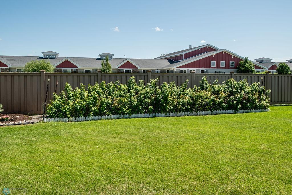 Raspberry garden
