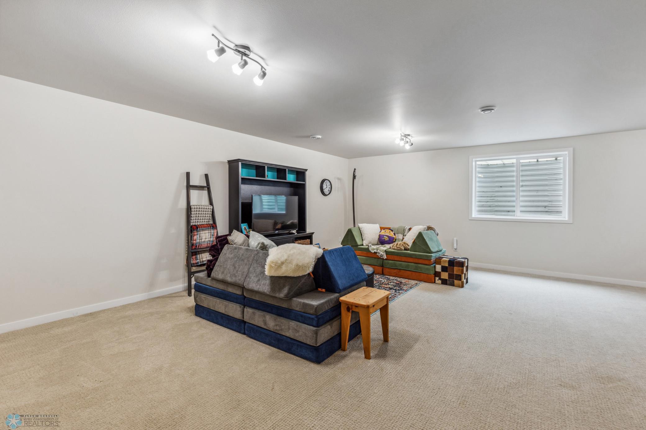 Large Lower Level Living Room
