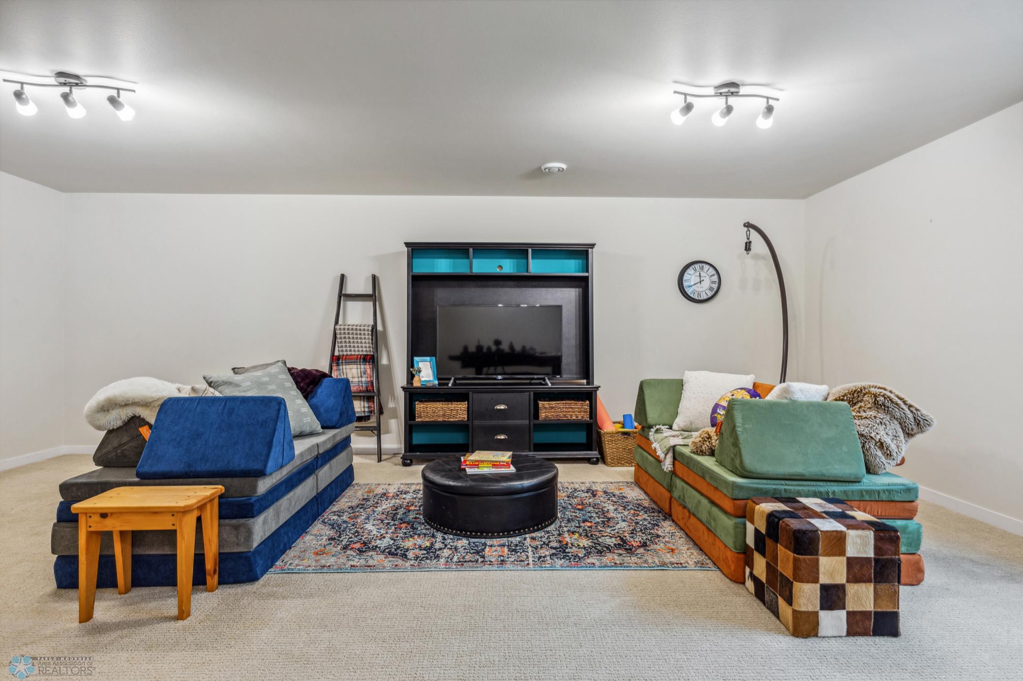 Lower Level Living Room