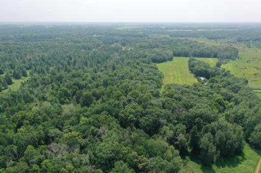 22116 County Highway 73, Hewitt, MN 56453