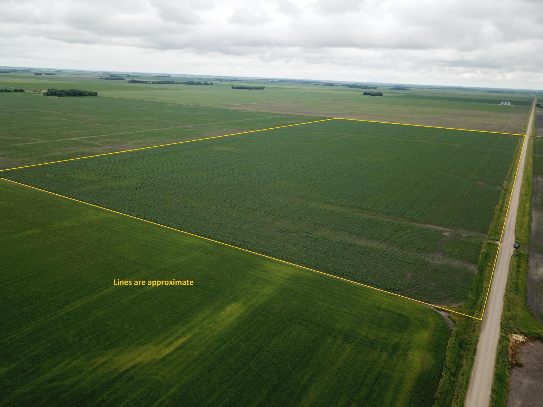 DJI_0007lines.jpg