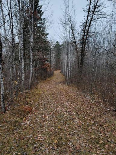 34243 County Highway 46, Park Rapids, MN 56470