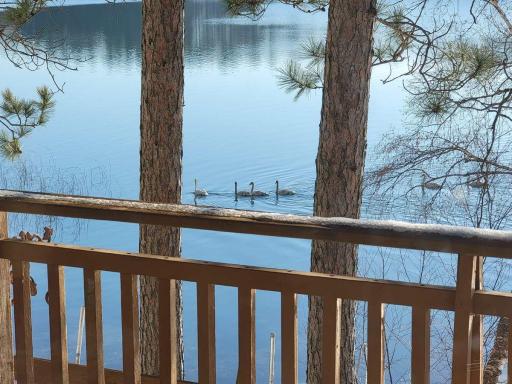 34243 County Highway 46, Park Rapids, MN 56470
