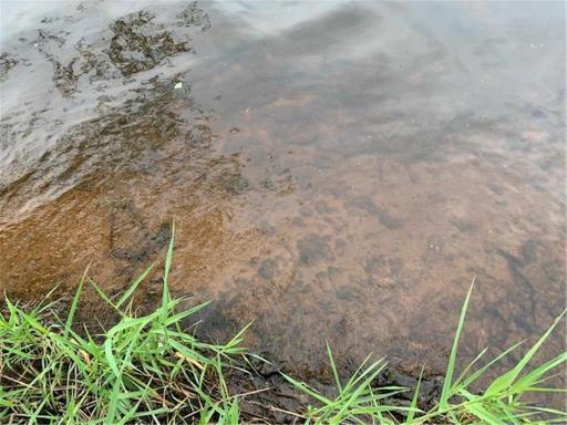 xxx Scott Drive, Pine City, MN 55063