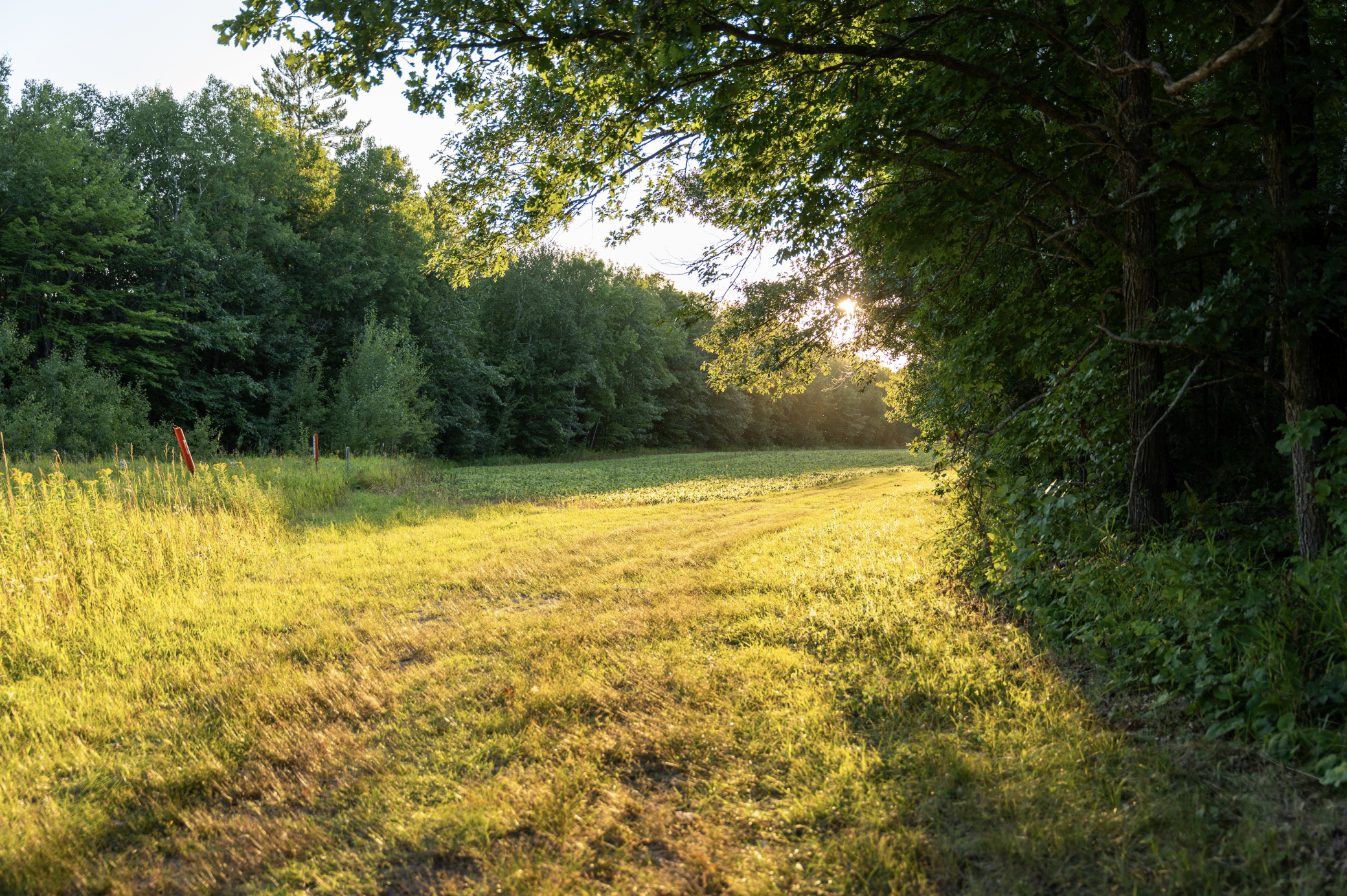 Screenshot 2024-08-20 at 2.04.58 PM.png