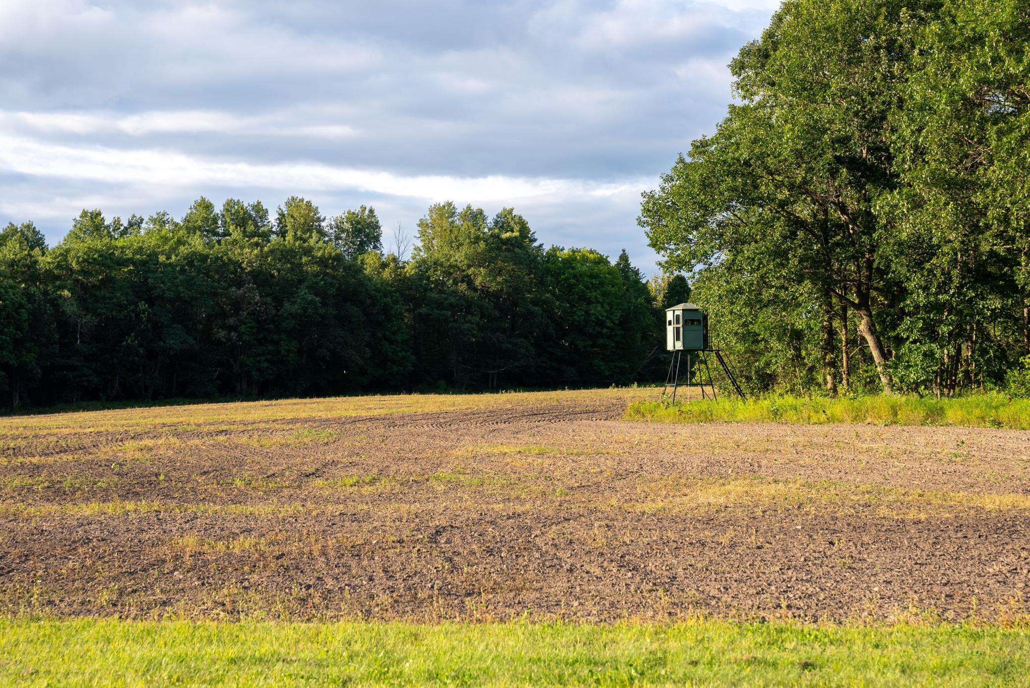 Cass MN 1095 Featured ProPhoto-6.jpg